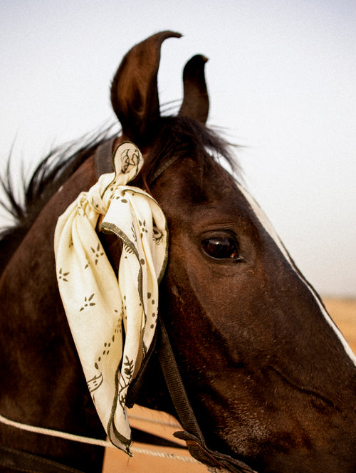 Bandana